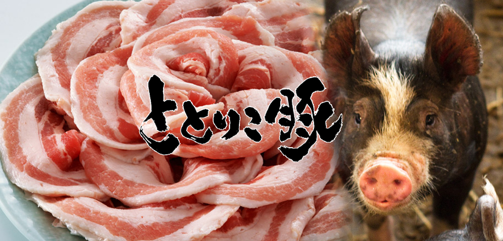 ”幻の豚”鳥取県産「トトリコ豚」